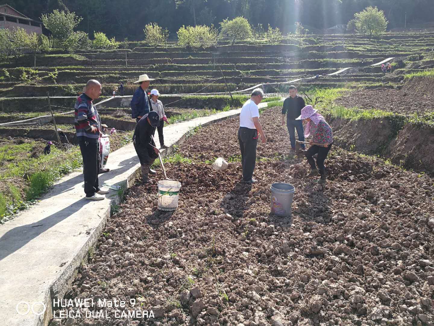 盛暢種植基地